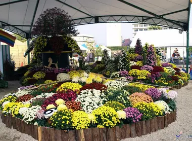 Festival de las flores en Hiroshima. Festival de las flores en Hiroshima.