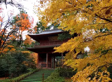 Puerta del templo Daijoji con los colores de otoño.