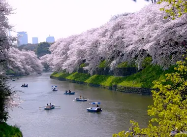 The boat rides on the Sumida River (Tokyo), one of the most relaxing activities in Tokyo.