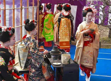 Geishas servieren Tee anlässlich des Baika Sai-Festivals Geishas servieren Tee anlässlich des Baika Sai-Festivals