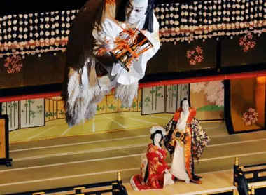 Kabuki is characterized by a very specific stage enabling players to make a grand entrance.