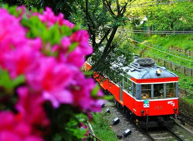 Le train d'Hakone.  Hakone