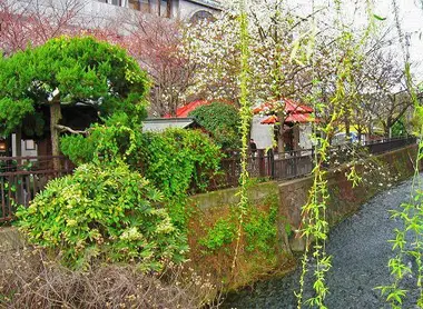 Las riberas del Shinbashi. Las riberas del Shinbashi.