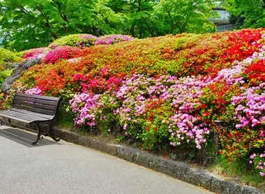 Hakone Gora Kuen. Hakone Gora Kuen.