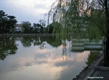 Etang Sarusawa