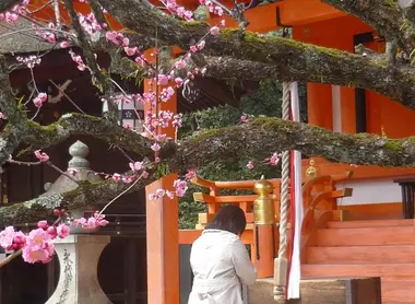 Dans la religion shinto, pour invoquer les dieux, sonnez la cloche, inclinez-vous deux fois, taper deux fois dans vos mains, priez puis retaper une fois dans vos mains. 