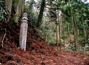 Koya san Koya san