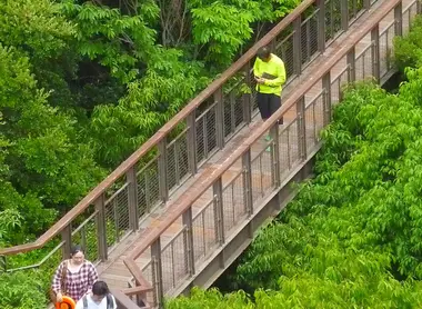 El parque tiene bosques donde puedes encontrar obras de arte. El parque tiene bosques donde puedes encontrar obras de arte.