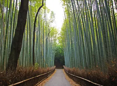 Arashiyama