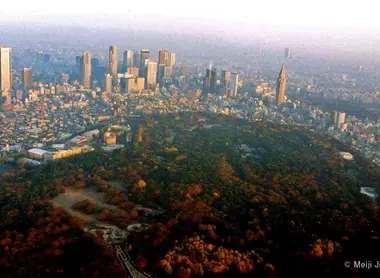 Avec ses 70 hectares, le parc Yoyogi est le poumon vert de Tokyo.
