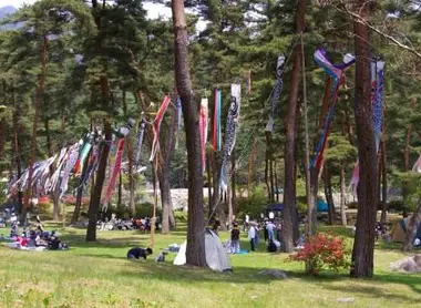 During koinobori, banners shaped carp invite camping.