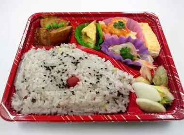 Les ekiben se présentent sous la forme de plateaux repas compartimentés commen tous les bentos.