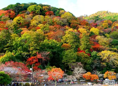 Le défilé de couleurs au parc Momiji de Kyoto.