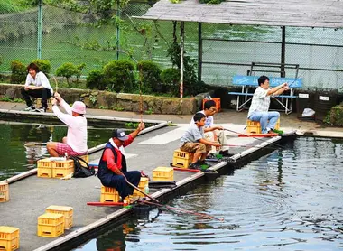 Les pécheurs d'Ishigaya Fish Center à Tokyo, un étang spécialement dédié à la pèche.