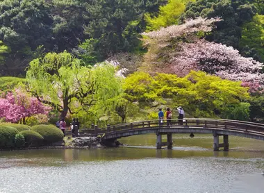 L'armonia dei giardini giapponesi a Tokyo.