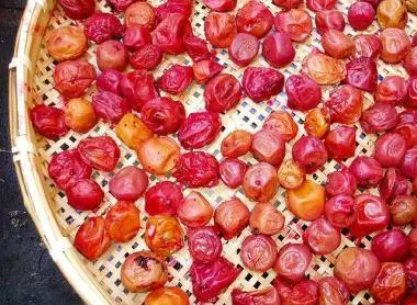 Confection de l'umeboshi en faisant mariner les prunes dans du sel.