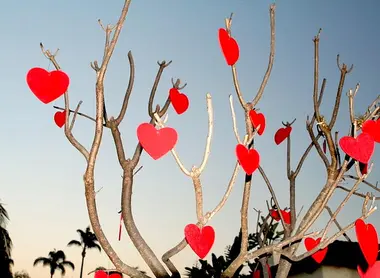 La Saint-Valentin s'est vite imposée comme un rendez-vous incontournable pour romantiques