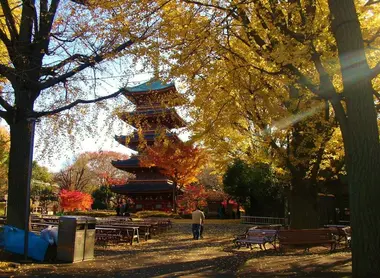 The garden Ueno, between temple and garden.