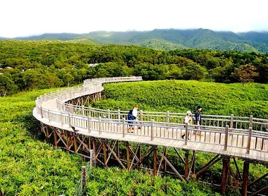 En el sur, el parque de Shiretoko está adaptado para un turismo "a la japonesa", tratando de reducir la huella del turismo de masas en la frágil naturaleza