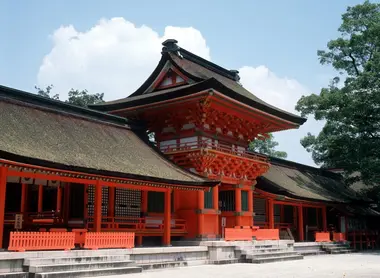 Usa-Jingu