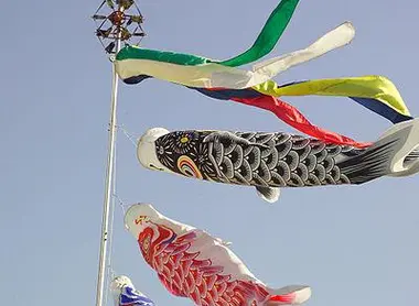 Koi nobori