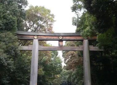 Tori du Meiji jingu le matin