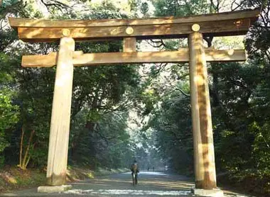 Torii of Meiji Jingu