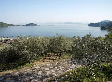 Oliveraies de Shôdo-shima