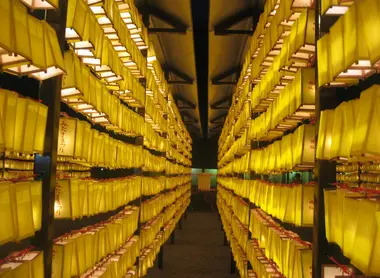 Aisles of Yasukuni shrine in Tokyo, 20,000 lanterns lit when Mitama Matsuri.