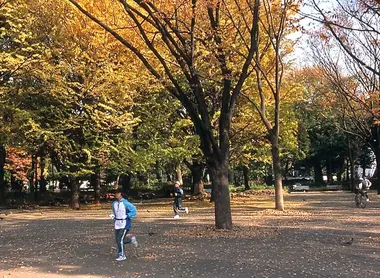Courir dans un parc aux couleurs de l'automne, l'un des plaisirs de Tokyo.
