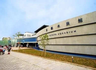 Inaugurato nel 2012, l'Acquario di Kyoto ha oltre 250 specie diverse.
