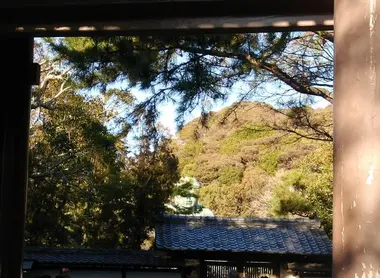 La tête du Daibutsu parmi la cime des arbres. Daibutsu de Kamakura