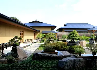Le village des bonsais d'Omiya, dans la ville de Saitama (près de Tokyo), abrite un musée et de multiples jardins privés.