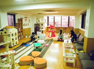 Per circa 1.000 yen, i clienti del neko caffè di Tokyo possono passare un'ora ad accarezzare i gatti sorseggiando del caffè caldo.