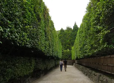 Bambushecke am Eingang des Silberpavillons