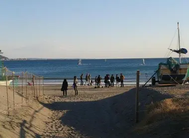 The Beaches Of Tokyo Japan Experience