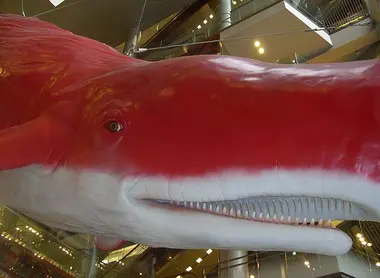 HEP five red whale