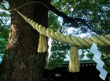 Un shimenawa, corde tressée au sanctuaire Meiji de Tokyo.