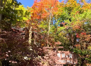 Glowing autumn leaves in the Gorge Ryuzu in Nikko.