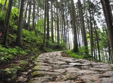The hiking trail between Magome and Tsumago The hiking trail between Magome and Tsumago