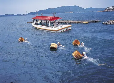 Ama : les plongeuses traditionnelles de Toba (Ise), spécialistes de la pêche aux huîtres.