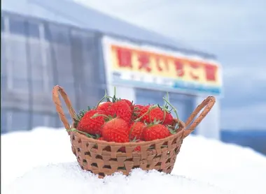 Fraises à consommer