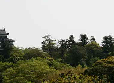 La vue depuis les hauteurs de Matsue