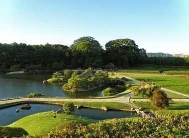 Las colinas del jardín.