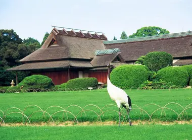 La grullas del Jardín Korakuen La grullas del Jardín Korakuen