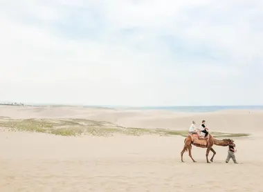Sahara ou Japon ? Sahara ou Japon ?