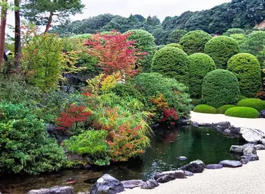 L'étang des jardins