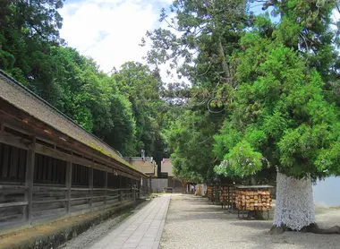 Los jukusha del Izumo Taisha donde vienes los kami en noviembre. Los jukusha del Izumo Taisha donde vienes los kami en noviembre.