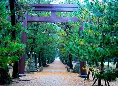La vía central para llegar al Izumo Taisha está reservada a los kami, si la usas es a tu propio riesgo. La vía central para llegar al Izumo Taisha está reservada a los kami, si la usas es a tu propio riesgo.