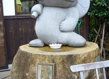 La grenouille de Nawate